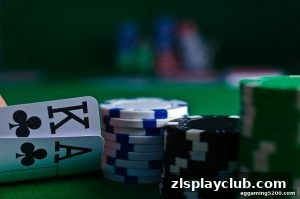 AG真人 zlsplayclub