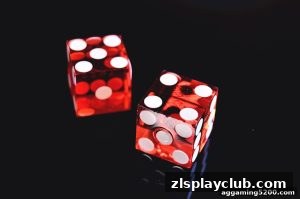 AG真人 zlsplayclub